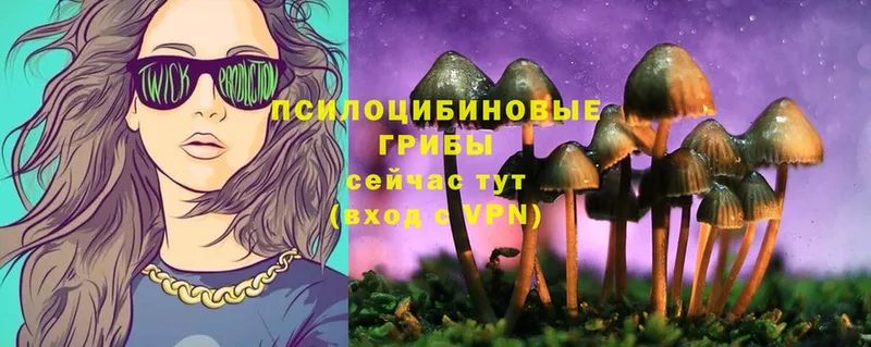 Галлюциногенные грибы Psilocybine cubensis Беслан